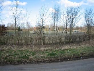Picture 006