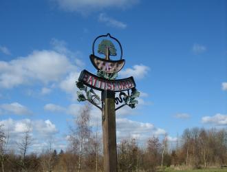 Picture 007
